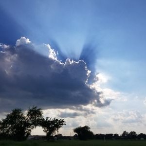 Brayden Kyle Hedrick - Twitter Profile Picture of Brayden Kyle Hedrick (@HedrickKyle) on Twitter