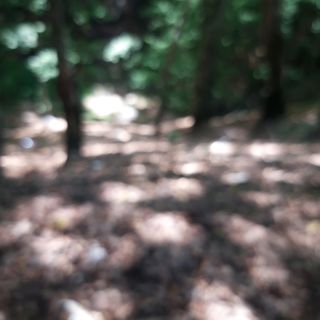 Profile Picture of David Ulian (@david.ulian.3) on Facebook