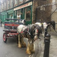 Profile Picture of Peter Dacey (@peter-dacey-2) on Quora