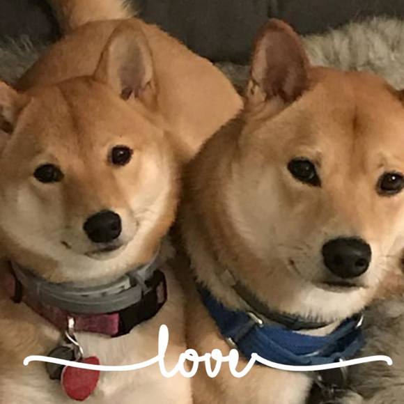 Profile Picture of Lisa Bastis howard (@lisaalyce) on Poshmark