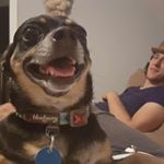 Profile Picture of Chris Kovacs (@chris.kovacs.792) on Instagram