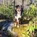 Profile Picture of Vernon Patterson (@vernon.patterson.90) on Facebook