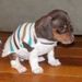 Profile Picture of Torri Johnson Nelson (@toddlertime) on Pinterest