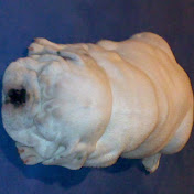 Daniel Borbolla - Youtube Profile Picture of Daniel Borbolla (@danielborbolla4677) on Youtube