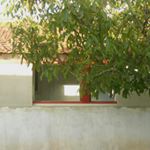 Profile Picture of David Bernardino (@davidbernardino_arquitecto) on Instagram