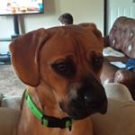 Profile Picture of My name is JEFF (@peyton_pachon2406) on Instagram