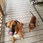 Profile Picture of James Cotterell (@James-Cotterell) on Facebook