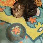 Profile Picture of Anna Daschke (@anna.daschke.33) on Facebook