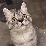 Profile Picture of Minh Thu (@keng péo) on Flickr