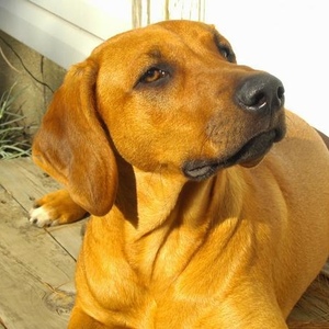 Profile Picture of Lisa Vanderlaan (@lisavl417) on Myspace