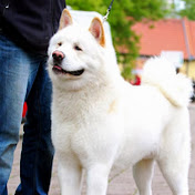 Profile Picture of Michael Wilczek (@wettinerken) on Youtube