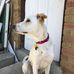 Profile Picture of Woodrow Neil Broderick (aka Woody) (@shooter.shooter.90857) on Facebook