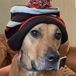 Profile Picture of Leonard aka Chunky (@everybody_loves_leonard) on Instagram