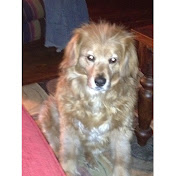 Todd Silverblatt - Youtube Profile Picture of Todd Silverblatt (@MrTSilverblatt) on Youtube