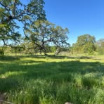 Profile Picture of Averie Yeates (@Averie-Yeates) on Facebook