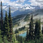 Profile Picture of Jodi Shields (@jodstress) on Instagram