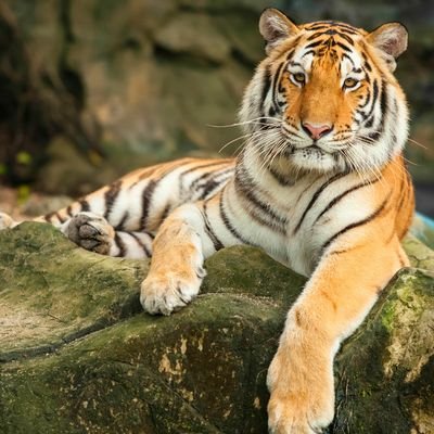 Profile Picture of Jessica Kirby (@jessicakirby19) on Twitter