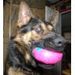 Profile Picture of Chris Duffey (@cduffey2074) on Pinterest