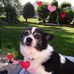 Profile Picture of Nancy Lozosky (@nancy.lozosky) on Facebook