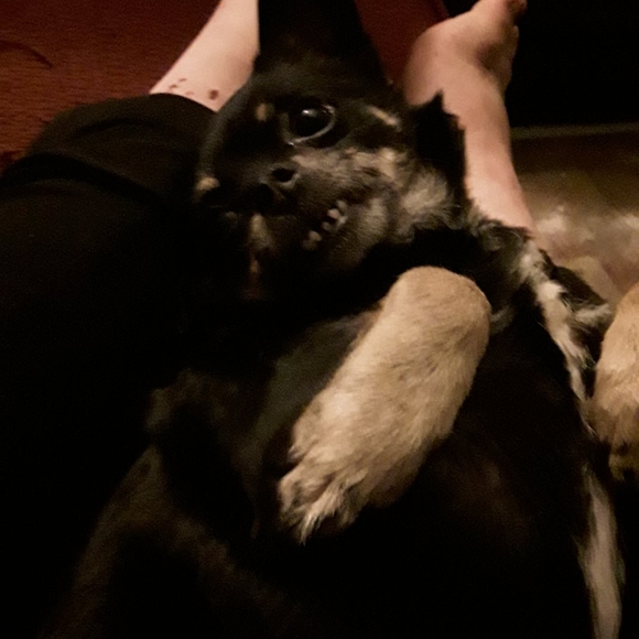 Profile Picture of Chrysta lrose Bundy (@chrystalbundy19) on Poshmark