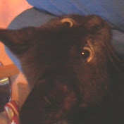 Profile Picture of Alex McGill (@ForestCheeta) on Youtube