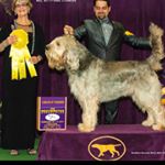 Profile Picture of Jason McIlwaine (@jason.mcilwaine) on Instagram