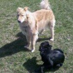 Profile Picture of Matthew Connelly (@mconnelly06) on Instagram