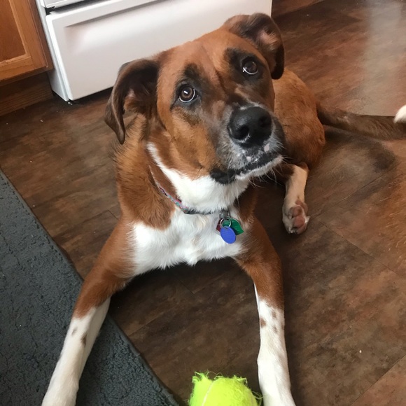 Profile Picture of Meredith Carroll (@mere_care) on Poshmark