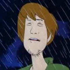 Profile Picture of Matthew Bremner (@MatthewBremner5) on Twitter