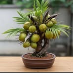 Profile Picture of Jefri Fairus (@jefri.fairus.2025) on Facebook