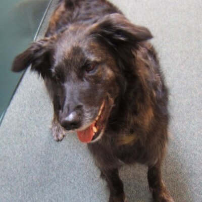 Dawn Alex - Twitter Profile Picture of Dawn Alex (@dawn_alex) on Twitter