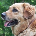 Profile Picture of Bradymatherly (@brady_matherly101) on Instagram