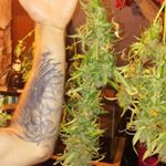 Profile Picture of patrick hassett (@patmanguy420) on Instagram