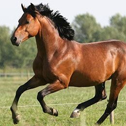 Profile Picture of Adrian Lacko (@ItzNotCory) on Twitter