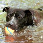 Profile Picture of David Falvey (@falvey.david) on Instagram