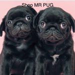 Profile Picture of Joseph (@joseph_welch123) on Instagram