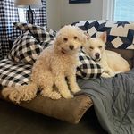 Profile Picture of Kim Milstead (@kim.milstead) on Instagram