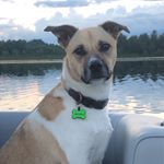 Profile Picture of Jersey Kevin (@jerseyboy1806) on Instagram