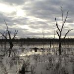 Profile Picture of Wayne Schultz (@wschultz44) on Instagram