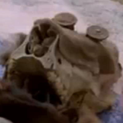 Aaron Littleton 2 - Twitter Profile Picture of Aaron Littleton 2 (@Squirrel_Baby) on Twitter