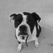 Profile Picture of lily weimer2 (@lilyweimer211) on Pinterest