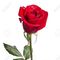 Profile Picture of Batache Batache (@batache.batache.7906) on Facebook