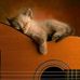 Profile Picture of Russell Hoyt (@russell.hoyt.77) on Facebook