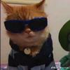 Profile Picture of Zachary Fitch (@@zacharyfitch1) on Tiktok