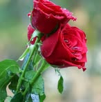 Profile Picture of Tlejean Ascapito (@Tlejean-Ascapito) on Facebook