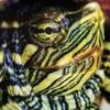 Profile Picture of Justin Lafollette (@@user6286459713057) on Tiktok
