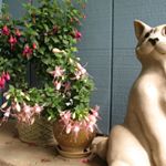 Profile Picture of Barbara Chadwick (@barbara.chadwick.54) on Instagram