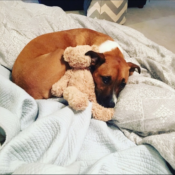 Angel Salat - Poshmark Profile Picture of Angel Salat (@asalat) on Poshmark