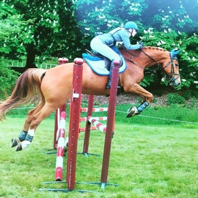 Profile Photo of The.eventing.ginger (@em_99_bray) on Twitter