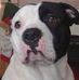 Profile Picture of Mark Thorley (@mark.thorley.547) on Facebook